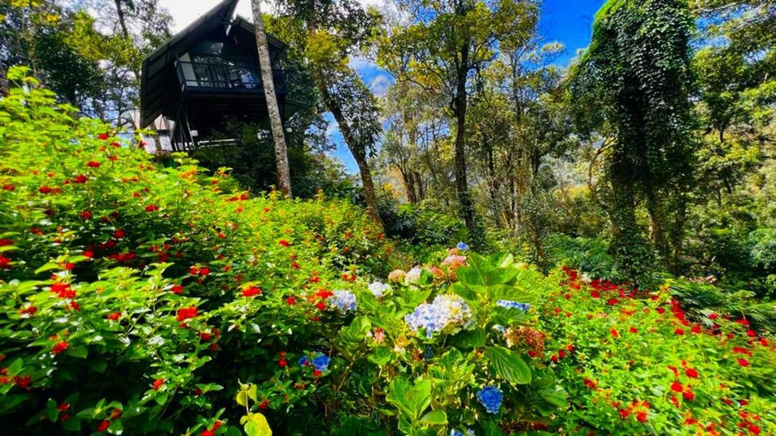 แบมบู เดล รีสอร์ต Hotel มุนนาร์ ภายนอก รูปภาพ