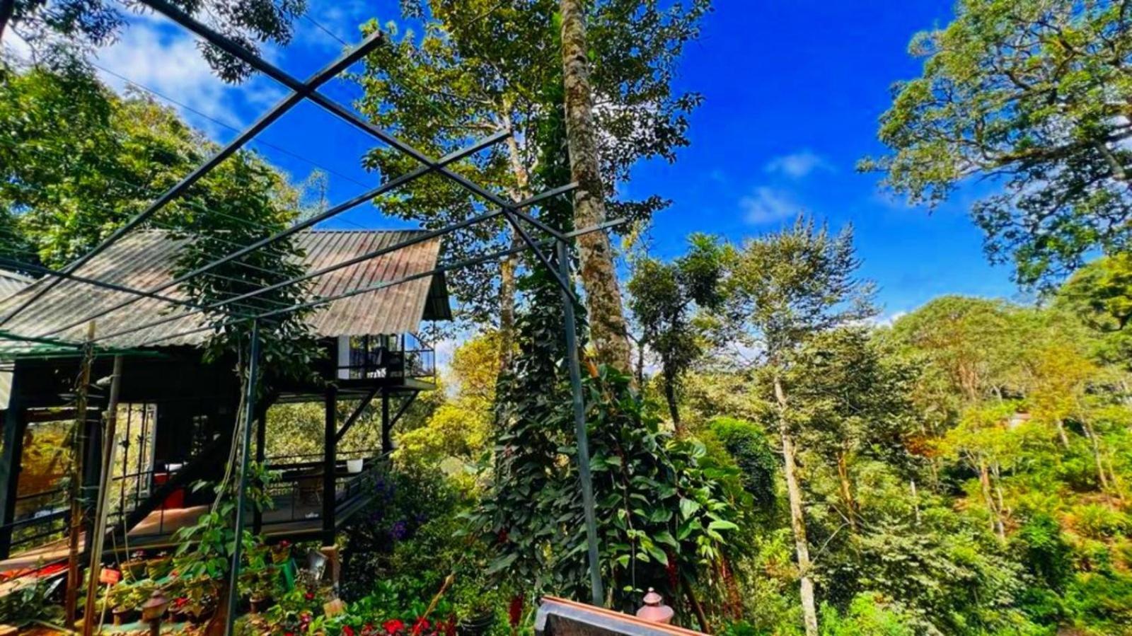 แบมบู เดล รีสอร์ต Hotel มุนนาร์ ภายนอก รูปภาพ